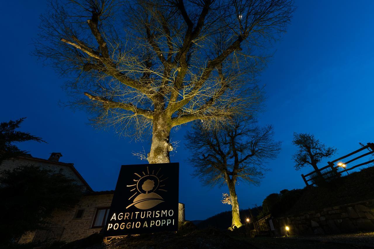 Poggio A Poppi Villa Eksteriør bilde