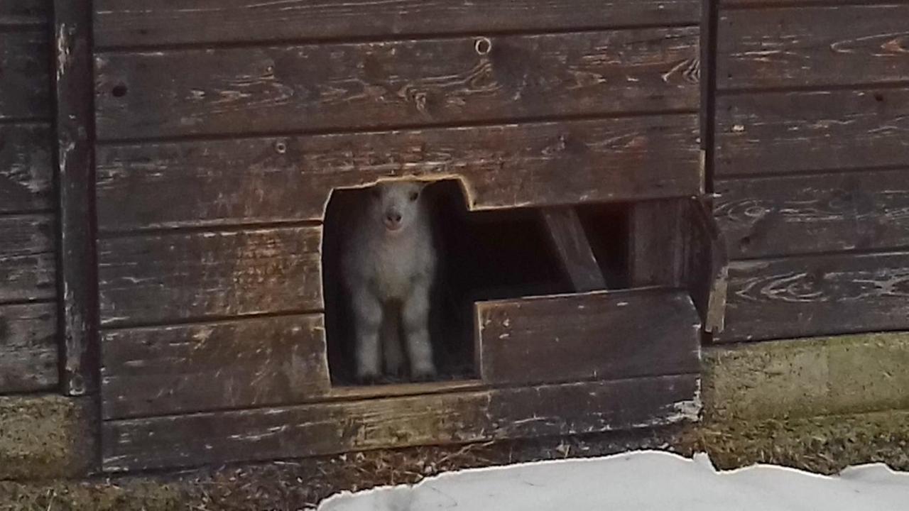 Poggio A Poppi Villa Eksteriør bilde